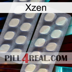 Xzen 07